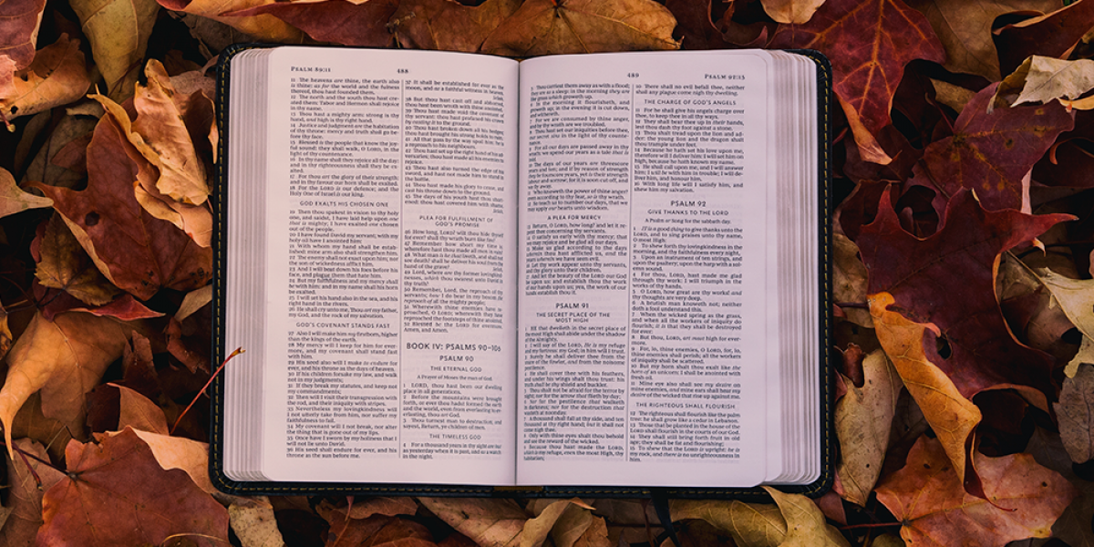 Inspirational Bible Verses About Faith